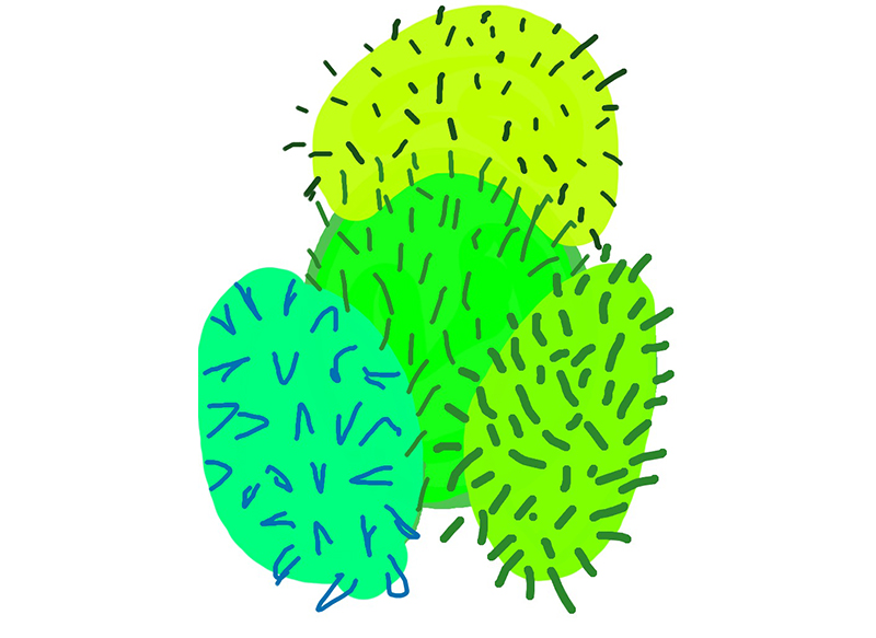 Peintures sur IPAD, 2010